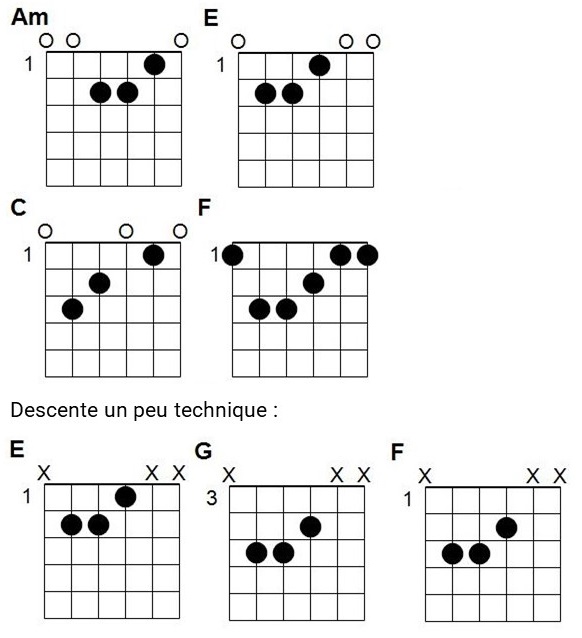 Accords Non petit requin !