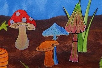 J’ai ramassé des champignons