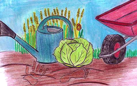 Savez-vous planter les choux